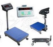 电子地磅