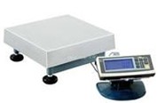 电子地磅